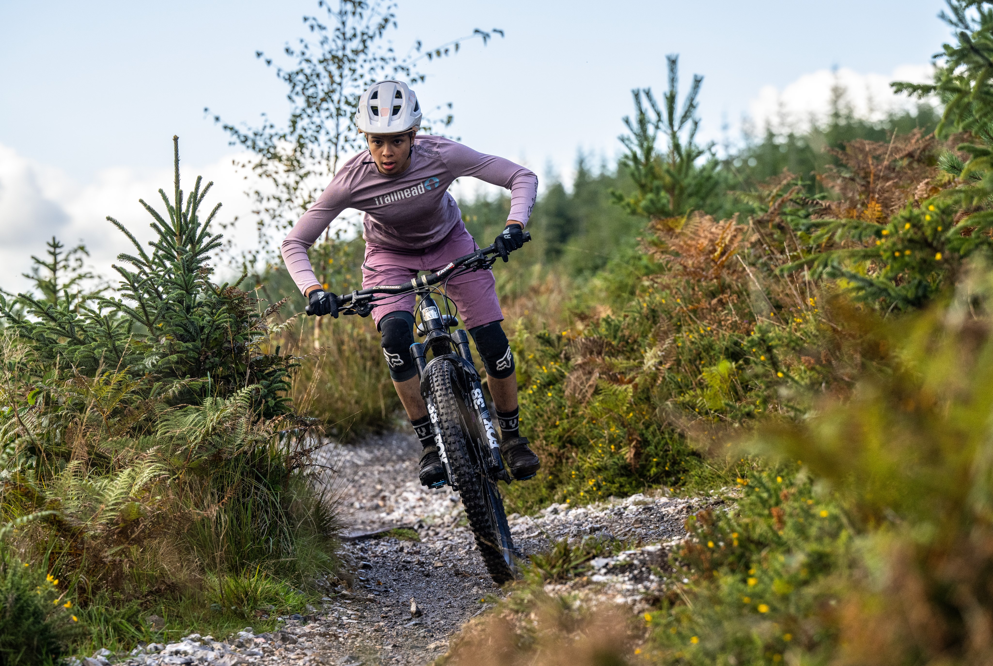 Haldon forest store bike trails